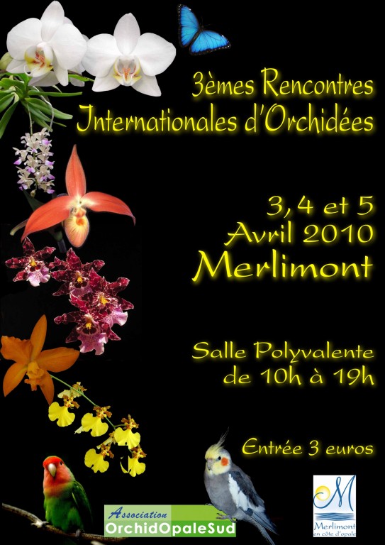 affiche